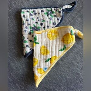 Lemon and Blueberry Little Unicorn Bandana Bibs